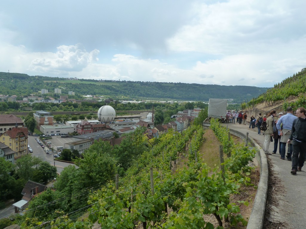 Wine walks are popular in Germany Wine walks are popular in Germany