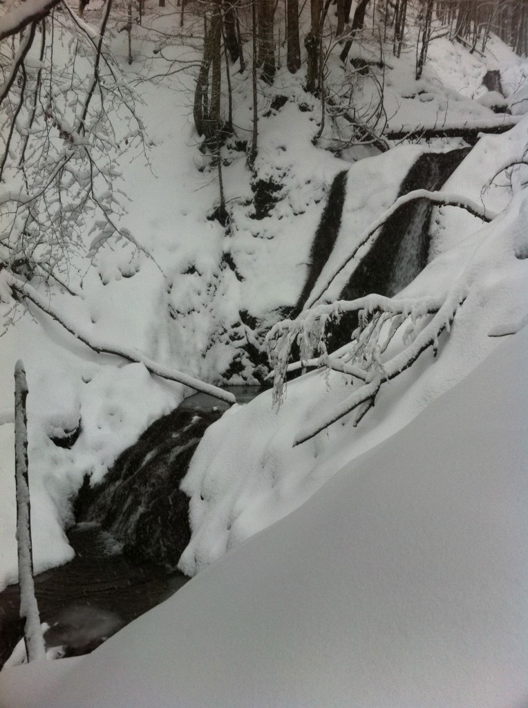 snowshoeing in a winter wonderland in Bavaria, Germany snowshoeing in a winter wonderland in Bavaria, Germany