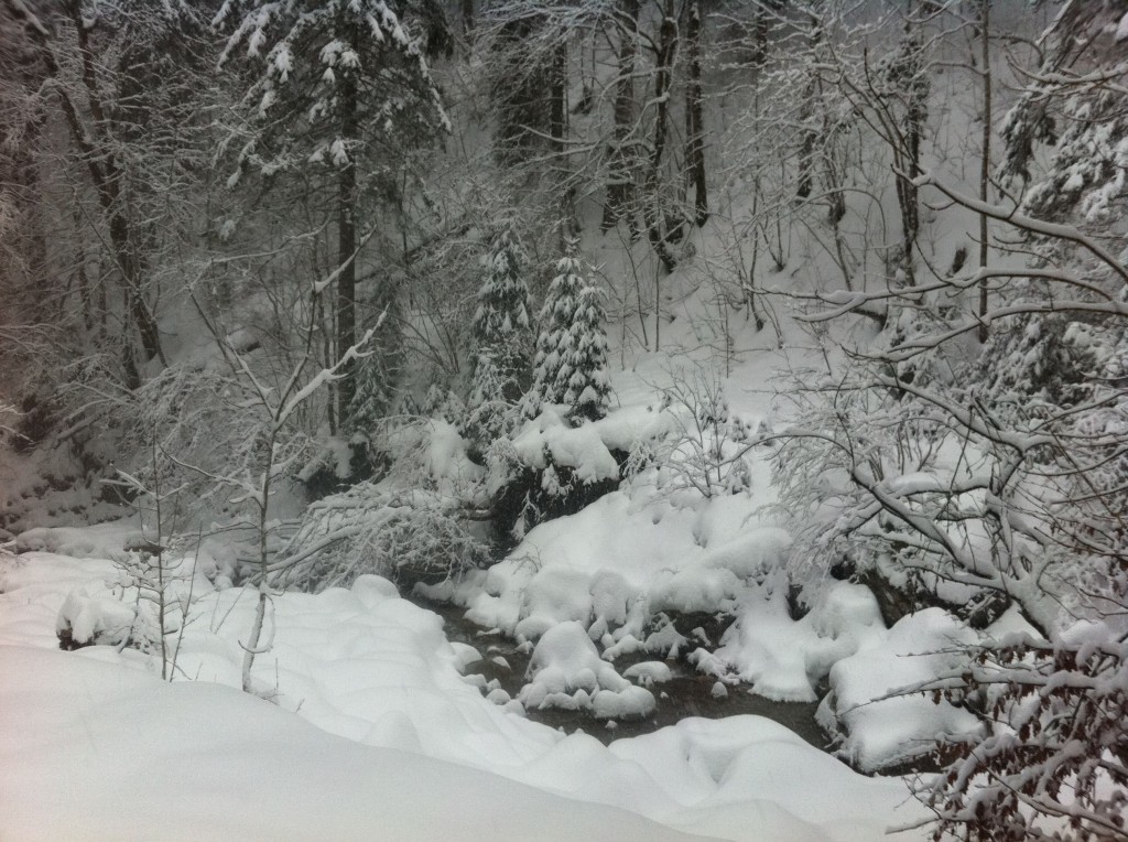 snowshoeing in a winter wonderland in Bavaria, Germany snowshoeing in a winter wonderland in Bavaria, Germany